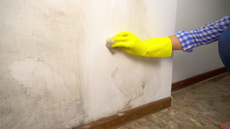 Best Asbestos and Lead Testing During Mold Inspection  in Lake Havasu City, AZ