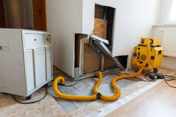 Best HVAC Mold Inspection and Cleaning  in Lake Havasu City, AZ